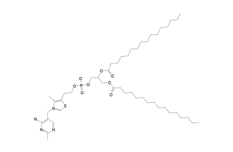 DPP-B1;1,2-DIPALMITOYL-3-SN-PHOSPHATIDYL-THIAMIN