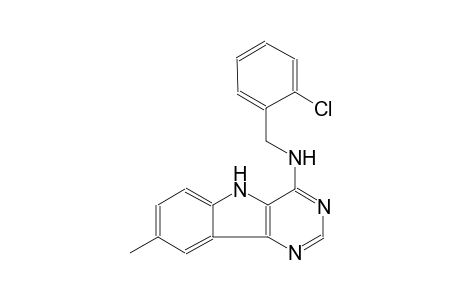 N-(2-chlorobenzyl)-8-methyl-5H-pyrimido[5,4-b]indol-4-amine