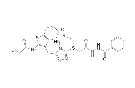 N- (3-{4- Acetylamino-5-[2-(N' -benzoyl-hydrazino)-2-oxoethylsulfanyl]-4H -[1,2,4]triazol-3-ylmethyl}-4,5,6,7-tetrahydro-benzo[b]thiophen-2-yl)-2-chloro-acetamide