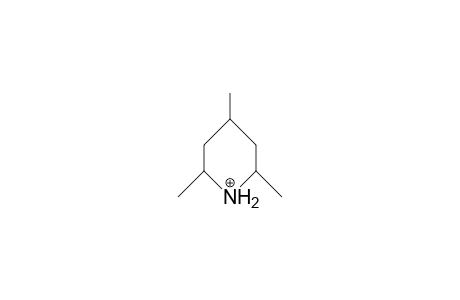 2,cis-4,cis-6-Trimethyl-piperidinium cation