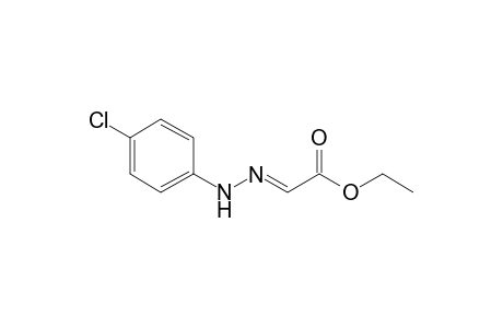 Ethyl glyoxalate p-chlorophenylhydrazone