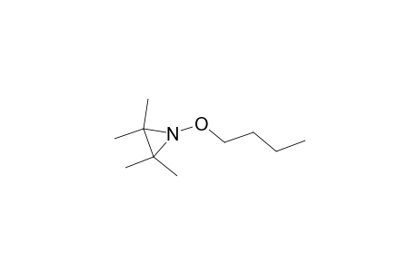 1-Butoxy-2,2,3,3-tetramethyl-aziridine