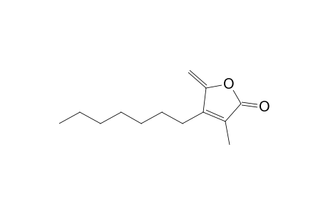 5-Methylene-3-methyl-4-(n-heptyl)-2(5H)-furanone