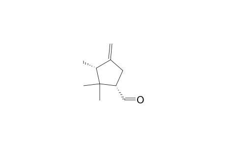 Cyclopentanecarboxaldehyde, 2,2,3-trimethyl-4-methylene-, (1S-trans)-