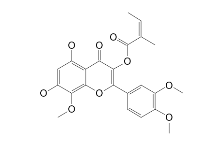 FLACCIDINE;3-ANGELOYLOXY-5,7-DIHYDROXY-3',4',8-TRIMETHOXYFLAVONE
