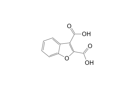 2,3-Benzofurandicarboxylic acid