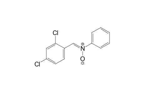 alpha-(2,4-dichlorophenyl)-N-phenylnitrone