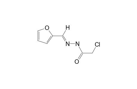 2-Furaldehyde chloroacetylhydrazone