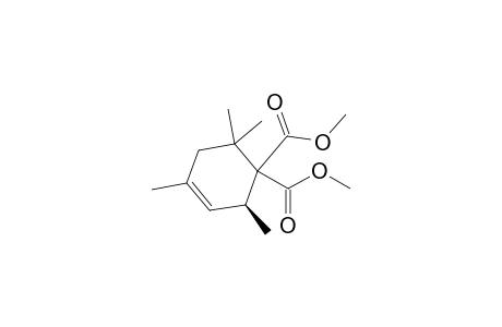 Dimethyl 2,4,6,6-tetramethylcyclohex-3-ene-1,1-dicarboxylate