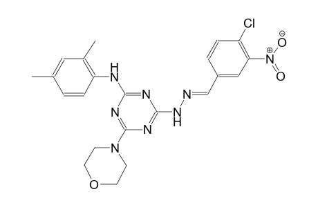 benzaldehyde, 4-chloro-3-nitro-, [4-[(2,4-dimethylphenyl)amino]-6-(4-morpholinyl)-1,3,5-triazin-2-yl]hydrazone