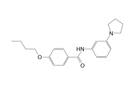 4-butoxy-N-[3-(1-pyrrolidinyl)phenyl]benzamide