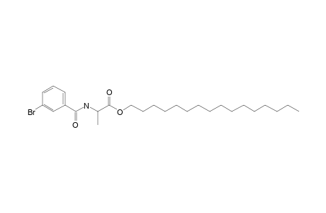 L-Alanine, N-(3-bromobenzoyl)-, hexadecyl ester