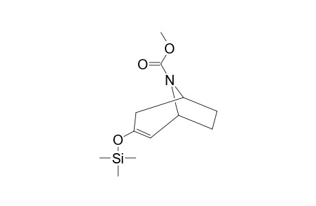 N-METHOXYCARBONYL-3-TRIMETHYLSILYLOXY-8-AZABICYCLO-[3.2.1]-OCT-2-ENE;ROTAMER-#2