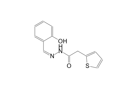 2-thiopheneacetic acid, 2-[(Z)-(2-hydroxyphenyl)methylidene]hydrazide