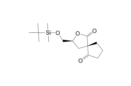 (3S,5S)-3-TERT.-BUTYLDIMETHYLSILYLOXYMETHYL-2-OXASPIRO-[4.4]-NONANE-1,6-DIONE