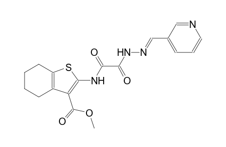 methyl 2-({oxo[(2E)-2-(3-pyridinylmethylene)hydrazino]acetyl}amino)-4,5,6,7-tetrahydro-1-benzothiophene-3-carboxylate