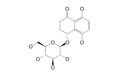 (4S)-4,5,8-TRIHYDROXY-ALPHA-TETRALONE-4-O-BETA-D-GLUCOPYRANOSIDE