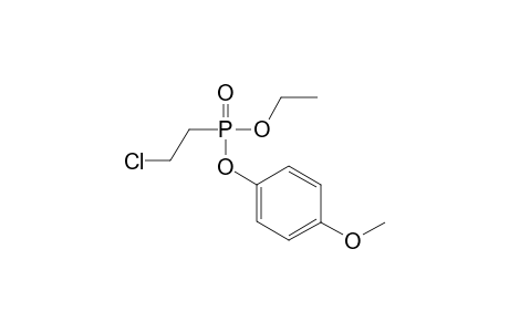 1-[2-chloroethyl(ethoxy)phosphoryl]oxy-4-methoxy-benzene