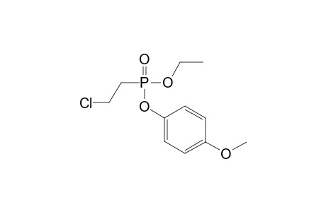 1-[2-chloroethyl(ethoxy)phosphoryl]oxy-4-methoxy-benzene