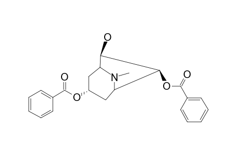 ALATERNIFOLINE;3-ALPHA,7-BETA-DIBENZOYLOXY-6-BETA-HYDROXY-TROPANE