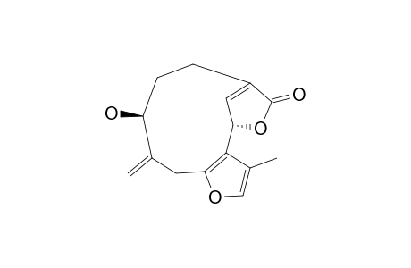 Parvigemone