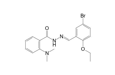 N,N-dimethylanthranilic acid, (5-bromo-2-ethoxybenzylidene)hydrazide