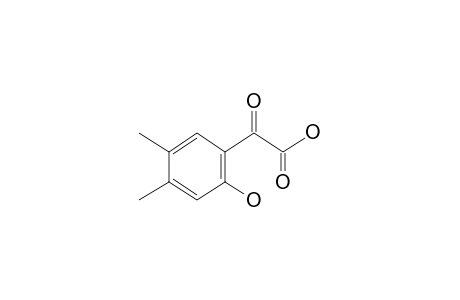 (2-Hydroxy-4,5-dimethylbenzoyl)formic acid