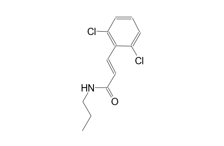 (2E)-3-(2,6-dichlorophenyl)-N-propyl-2-propenamide