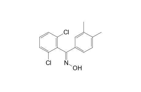 (E)-2,6-Dichloro-3',4'-dimethylbenzophenone oxime