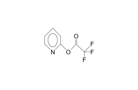 2-(Trifluoroacetoxy)pyridine