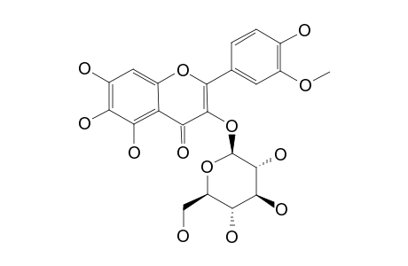 3'-METHYLQUERCETAGETIN_3-O-GLUCOSIDE