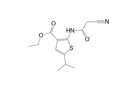 ethyl 2-[(cyanoacetyl)amino]-5-isopropyl-3-thiophenecarboxylate