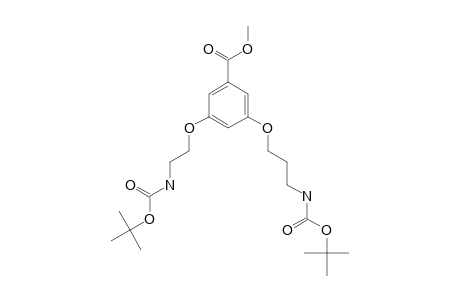 3-[2-(tert-butoxycarbonylamino)ethoxy]-5-[3-(tert-butoxycarbonylamino)propoxy]benzoic acid methyl ester