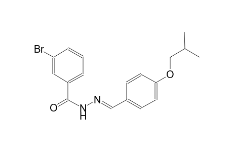 3-bromo-N'-[(E)-(4-isobutoxyphenyl)methylidene]benzohydrazide