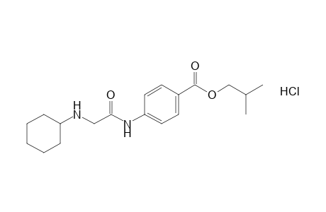 p-(cyclohexylaminoacetamido)benzoic acid, isobutyl ester, hydrochloride