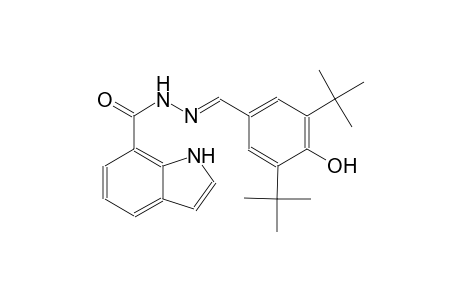 N'-[(E)-(3,5-ditert-butyl-4-hydroxyphenyl)methylidene]-1H-indole-7-carbohydrazide