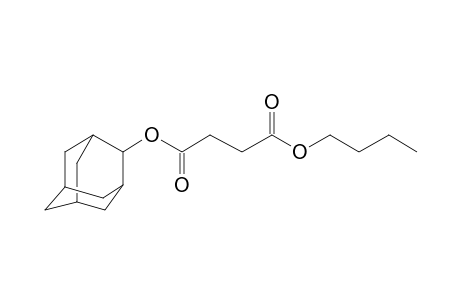 Succinic acid, 2-adamantyl butyl ester