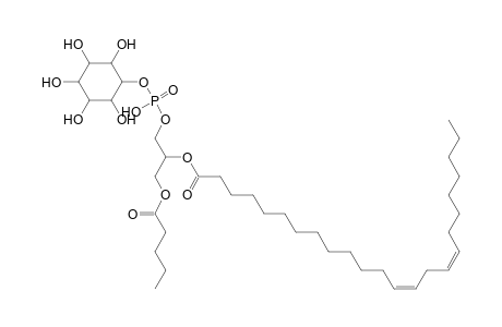 PI 5:0_24:2