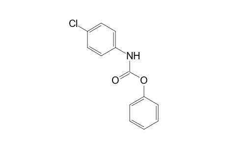 Carbamic acid, (4-chlorophenyl)-, phenyl ester