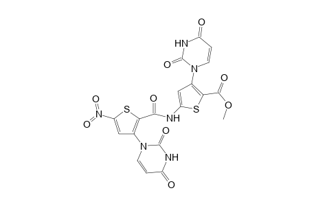 3-(2,4-diketopyrimidin-1-yl)-5-[[3-(2,4-diketopyrimidin-1-yl)-5-nitro-thiophene-2-carbonyl]amino]thiophene-2-carboxylic acid methyl ester