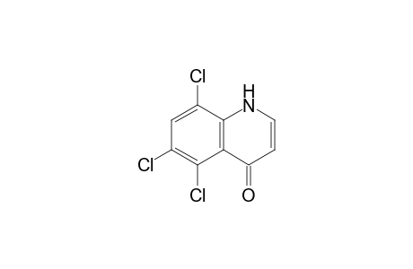 5,6,8-Trichloroquinolin-4(1H)-one