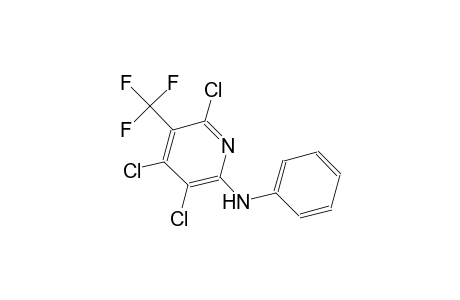 3,4,6-trichloro-N-phenyl-5-(trifluoromethyl)-2-pyridinamine