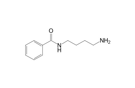 N(1)-Monobenzoylputresceine