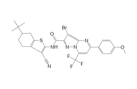 3-bromo-N-(6-tert-butyl-3-cyano-4,5,6,7-tetrahydro-1-benzothien-2-yl)-5-(4-methoxyphenyl)-7-(trifluoromethyl)pyrazolo[1,5-a]pyrimidine-2-carboxamide