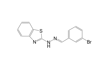 3-bromobenzaldehyde 1,3-benzothiazol-2-ylhydrazone