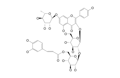 KAEMPFEROL-3-O-(6-TRANS-CAFFEOYL)-BETA-GLUCOPYRANOSYL-(1->2)-BETA-GLUCOPYRANOSIDE-7-O-ALPHA-RHAMNOPYRANOSIDE