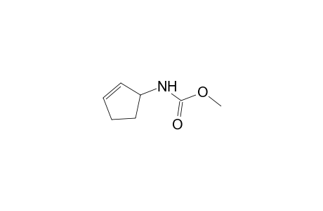 Carbamic acid, 2-cyclopenten-1-yl-, methyl ester