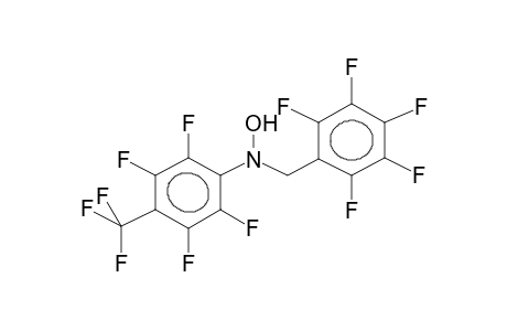 N-PENTAFLUOROBENZYL-N-(PERFLUORO-PARA-TOLYL)HYDROXYLAMINE
