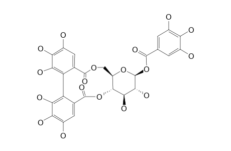 STRICTININ;1-O-GALLOYL-4,6-O-(S)-HEXAHYDROXYDIPHENOYL-BETA-D-GLUCOPYRANOSIDE