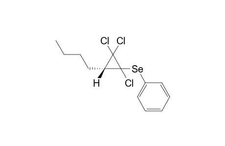 [(3-butyl-1,2,2-trichloro-cyclopropyl)seleno]benzene
